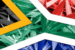 Marijuana Legalised South Africa