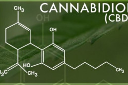 Cannabidiol molecular structure