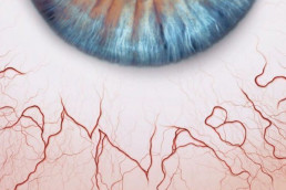 Cannabis for blindness