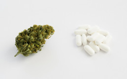medical marijuana or prescription drugs