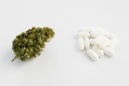 medical marijuana or prescription drugs