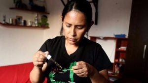 Peru mother cannabis