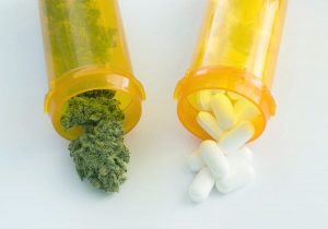 Can cannabis replace painkillers