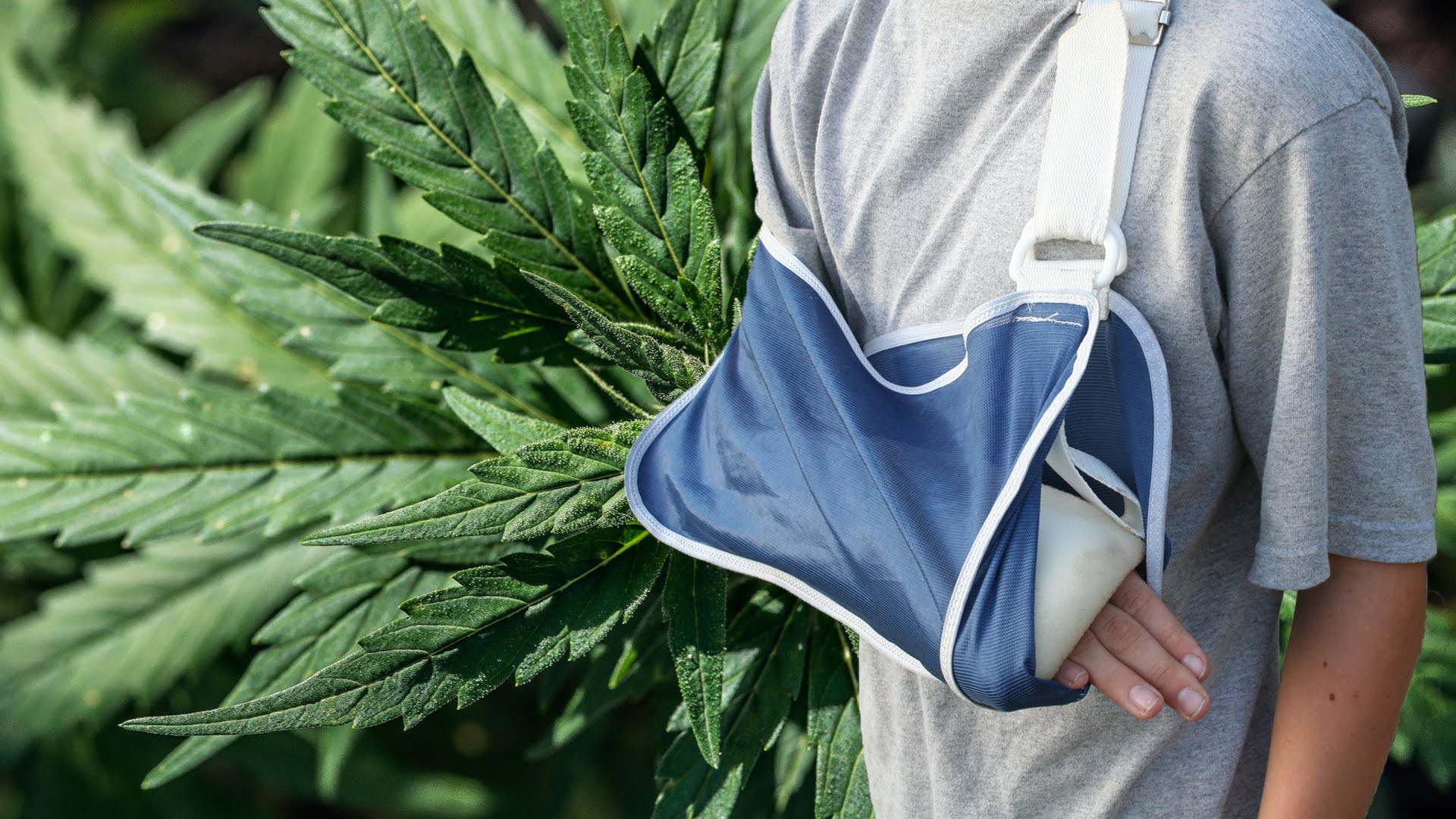 cannabis heals broken bones
