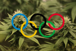 CBD Olympic Ring