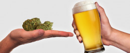 Cannabis vs Alcohol