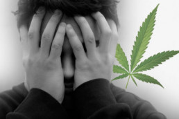 marijuana not cause mental illness