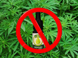 Cannabis oil, not CBD