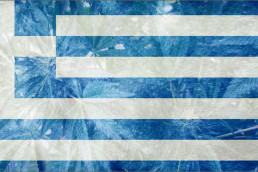 Greece legalises Medical cannabis