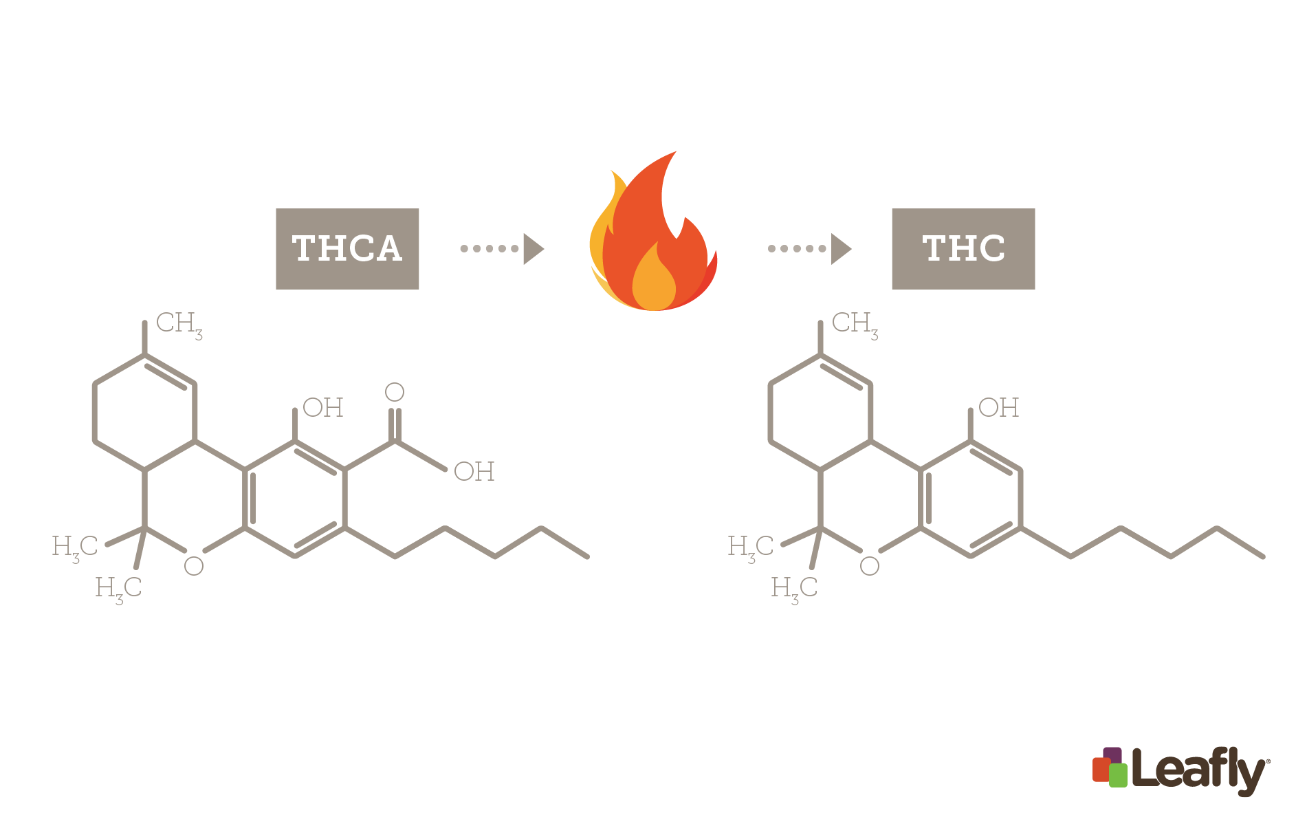 graph showing THCa into THC from leafly