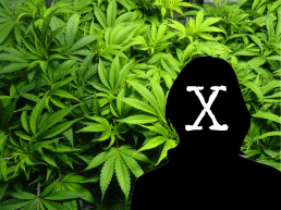 Woman silhouette cannabis letter X