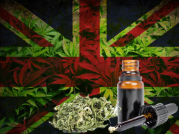 Medical cannabis Products in the UK