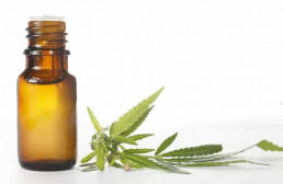 cannabis leaves and medical cannabis oil tincture