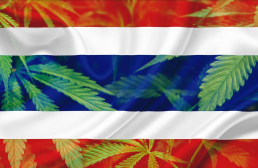Thailand Flag with Marijuana Leaves