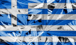 Greek Flag with Cannabis Leaves