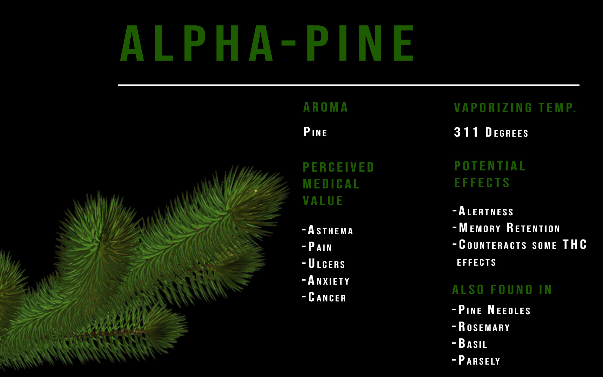 pinene terpene profile