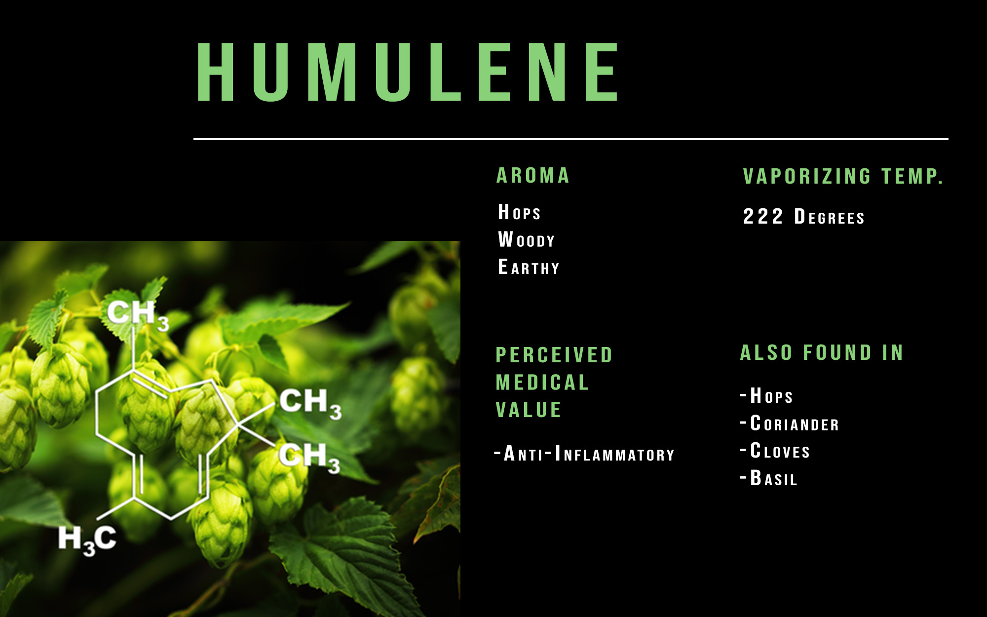 Humulene cannabis terpene profile info graph