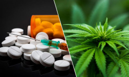 Medical Marijuana vs Pharmaceutical Prescriptions