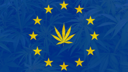 European Union Flag with Cannabis Leaves for Stars and Cannabis in background