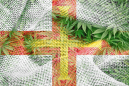 Flag of Guernsey with cannabis flags overlayed; British Island flag with cannabis