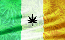 Cannabis Irish Flag with weed leaves