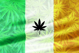 Cannabis Irish Flag with weed leaves