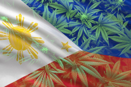 Medical cannabis legalised in Phillipines