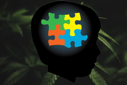 Autism Puzzle Logo on cannabis leaves background