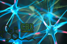 CBD molecule with CGI brain neurons on cannabis leaf background