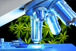 Scientific research equipment on cannabis background