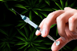 white hand holding anaesthetic needle on cannabis leaves background