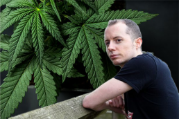 man looking over fence with cannabis leaves in background