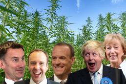 Conservative Members of Parliament, Boris Johnson, Andrea Leadsome, Matt Hancock, Dominic Raab, Jeremey Hunt, all admit they have used cannabis