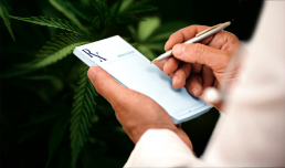 Doctor writing out a prescription for medical marijuana
