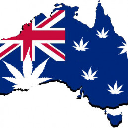 map of Australia with cannabis leaves