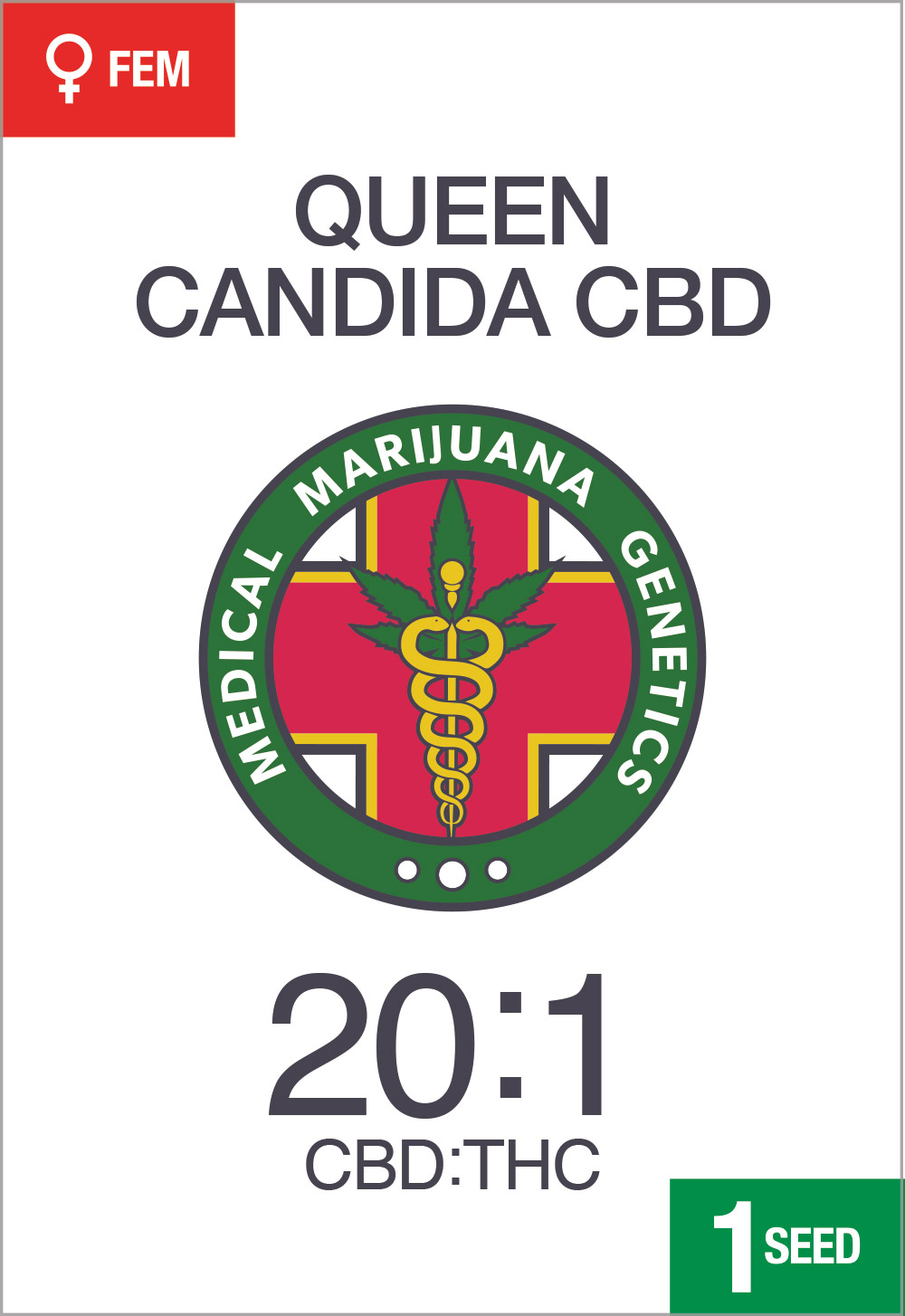 Queen Candida CBD 201 Medical Marijuana